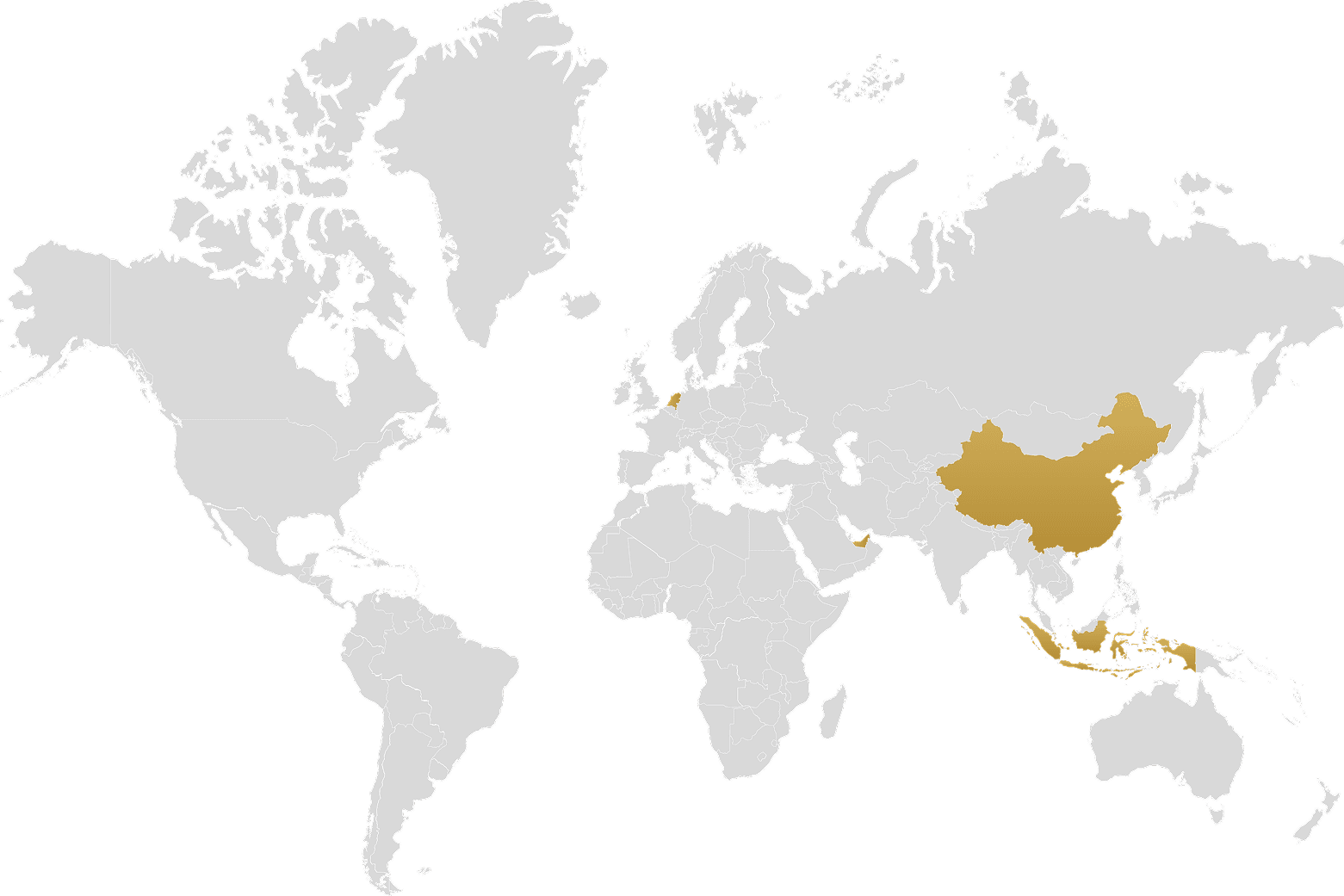 World map Maesa Group